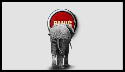 image shows an elephant standing in front of a large red button with the word "PANIC" written on it
